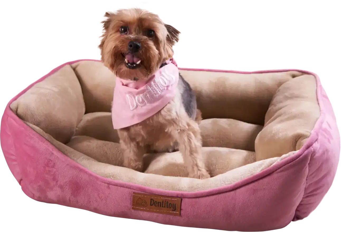 Perro Comfort